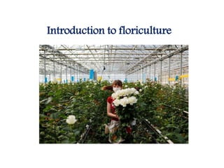 Introduction to floriculture
 