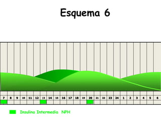 7 8 9 10 11 12 |3 14 15 16 17 18 19 20 21 22 23 24 1 2 3 4 5 6
Esquema 6
Insulina Intermedia NPH
 
