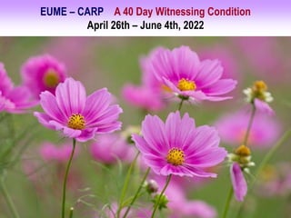EUME – CARP A 40 Day Witnessing Condition
April 26th – June 4th, 2022
 