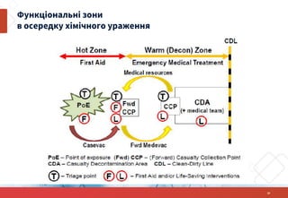 Функціональні зони
в осередку хімічного ураження
18
 