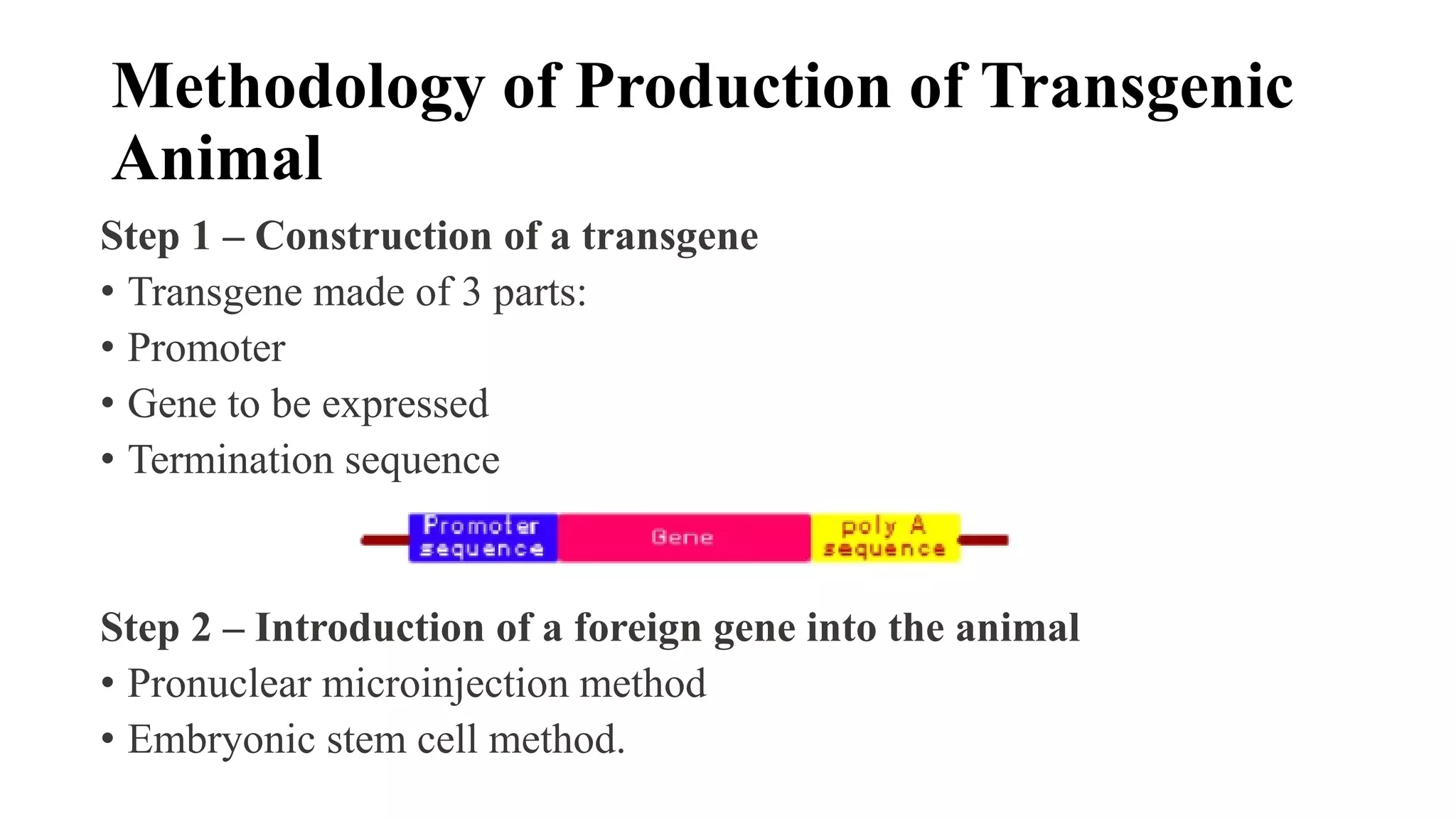 Methodology of Production of Transgenic
Animal
Step 1 – Construction of a transgene
• Transgene made of 3 parts:
• Promoter
• Gene to be expressed
• Termination sequence
Step 2 – Introduction of a foreign gene into the animal
• Pronuclear microinjection method
• Embryonic stem cell method.
 