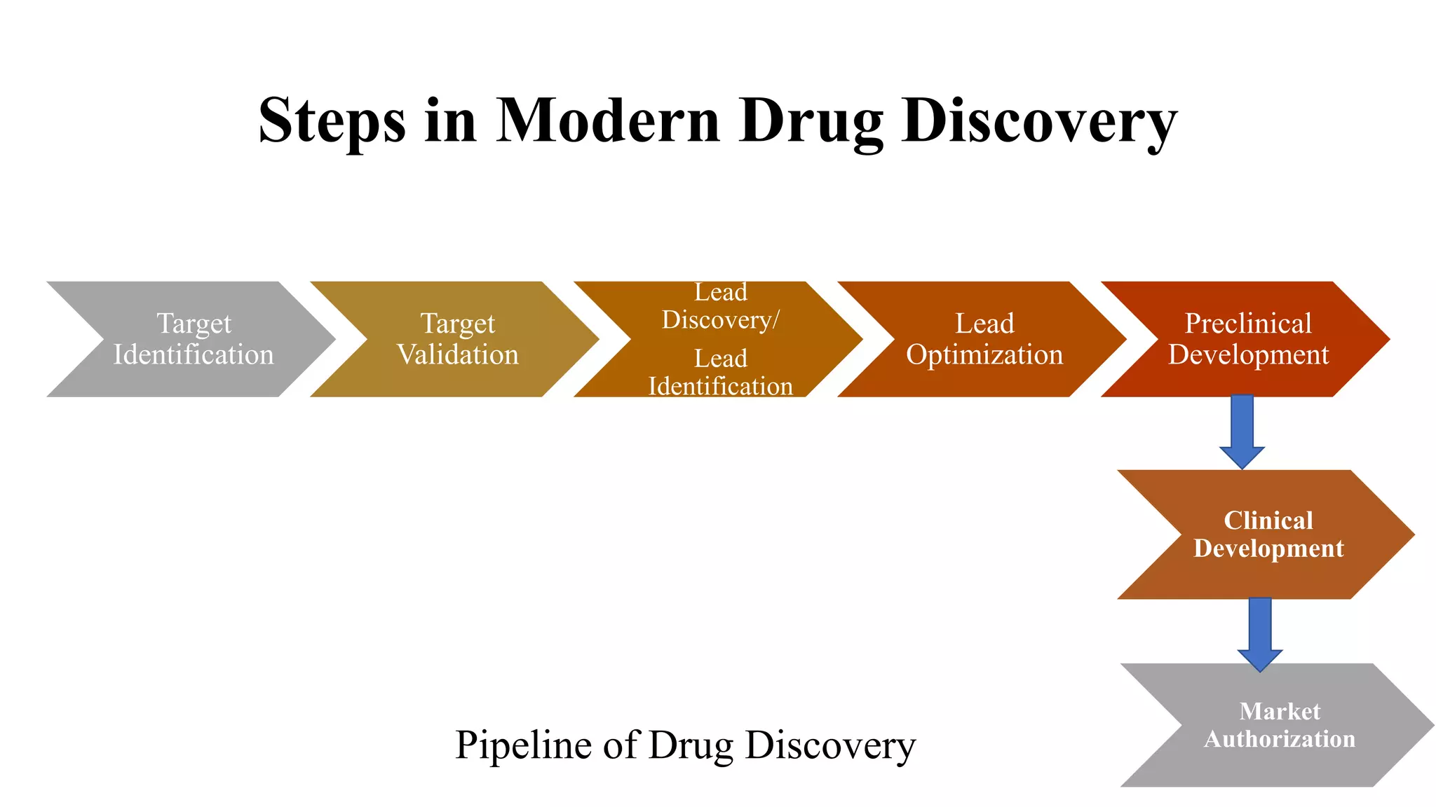 Steps in Modern Drug Discovery
Target
Identification
Target
Validation
Lead
Discovery/
Lead
Identification
Lead
Optimization
Preclinical
Development
Pipeline of Drug Discovery
Clinical
Development
Market
Authorization
 