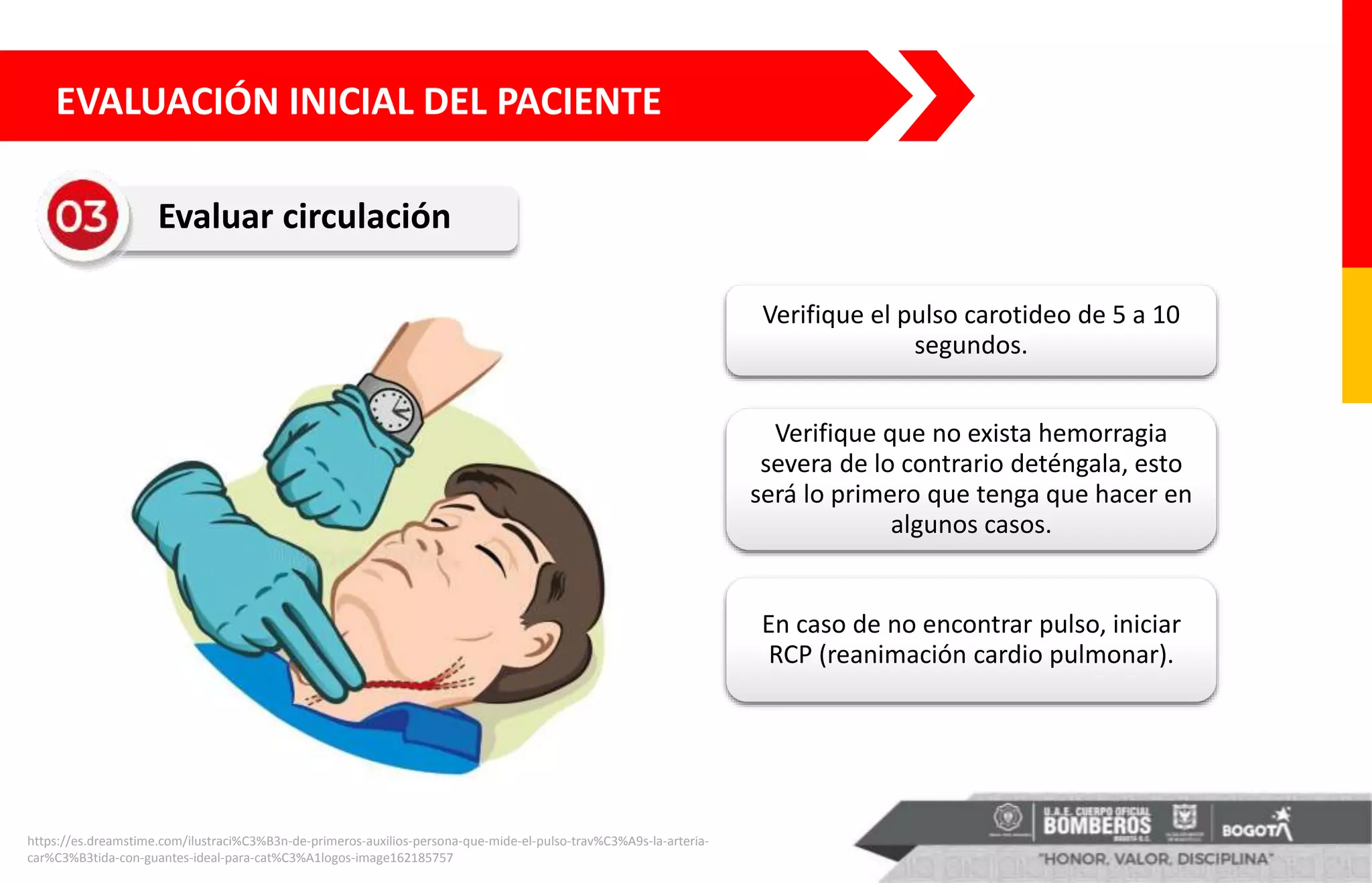 Verifique el pulso carotideo de 5 a 10
segundos.
Verifique que no exista hemorragia
severa de lo contrario deténgala, esto
será lo primero que tenga que hacer en
algunos casos.
En caso de no encontrar pulso, iniciar
RCP (reanimación cardio pulmonar).
https://es.dreamstime.com/ilustraci%C3%B3n-de-primeros-auxilios-persona-que-mide-el-pulso-trav%C3%A9s-la-arteria-
car%C3%B3tida-con-guantes-ideal-para-cat%C3%A1logos-image162185757
EVALUACIÓN INICIAL DEL PACIENTE
Evaluar circulación
 