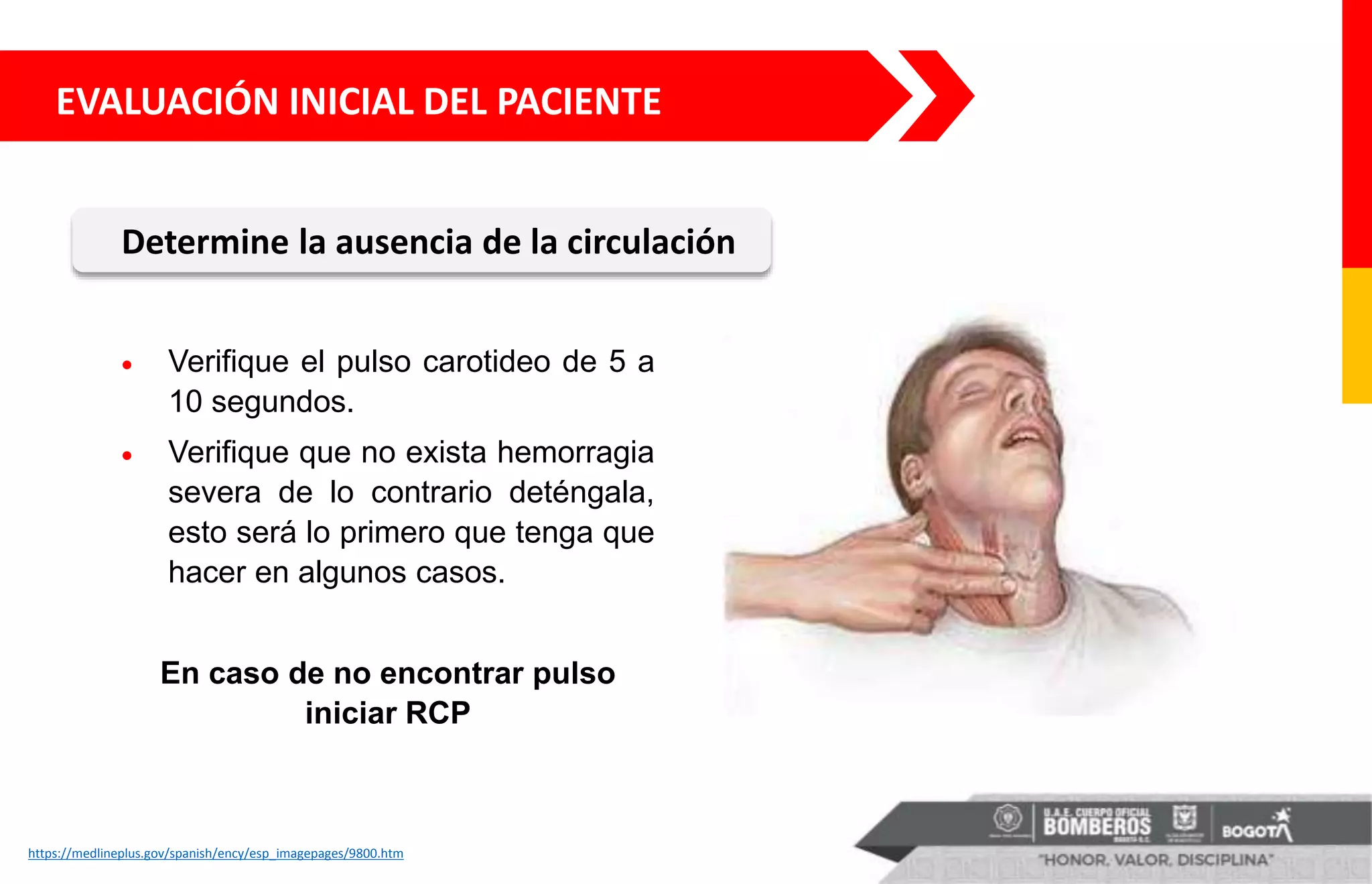 EVALUACIÓN INICIAL DEL PACIENTE
Determine la ausencia de la circulación
https://medlineplus.gov/spanish/ency/esp_imagepages/9800.htm
 Verifique el pulso carotideo de 5 a
10 segundos.
 Verifique que no exista hemorragia
severa de lo contrario deténgala,
esto será lo primero que tenga que
hacer en algunos casos.
En caso de no encontrar pulso
iniciar RCP
 