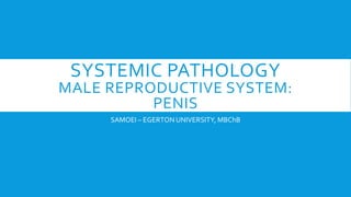 SYSTEMIC PATHOLOGY
MALE REPRODUCTIVE SYSTEM:
PENIS
SAMOEI – EGERTON UNIVERSITY, MBChB
 