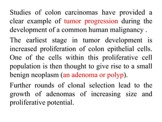 Studies of colon carcinomas have provided a
clear example of tumor progression during the
development of a common human malignancy .
The earliest stage in tumor development is
increased proliferation of colon epithelial cells.
One of the cells within this proliferative cell
population is then thought to give rise to a small
benign neoplasm (an adenoma or polyp).
Further rounds of clonal selection lead to the
growth of adenomas of increasing size and
proliferative potential.
 