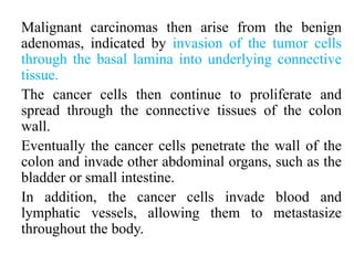 Malignant carcinomas then arise from the benign
adenomas, indicated by invasion of the tumor cells
through the basal lamina into underlying connective
tissue.
The cancer cells then continue to proliferate and
spread through the connective tissues of the colon
wall.
Eventually the cancer cells penetrate the wall of the
colon and invade other abdominal organs, such as the
bladder or small intestine.
In addition, the cancer cells invade blood and
lymphatic vessels, allowing them to metastasize
throughout the body.
 