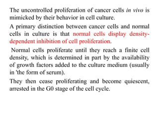 The uncontrolled proliferation of cancer cells in vivo is
mimicked by their behavior in cell culture.
A primary distinction between cancer cells and normal
cells in culture is that normal cells display density-
dependent inhibition of cell proliferation.
Normal cells proliferate until they reach a finite cell
density, which is determined in part by the availability
of growth factors added to the culture medium (usually
in 'the form of serum).
They then cease proliferating and become quiescent,
arrested in the G0 stage of the cell cycle.
 
