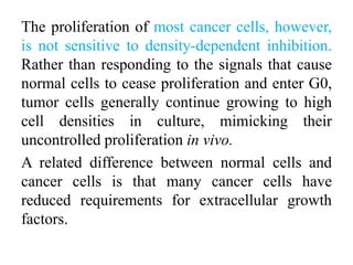 The proliferation of most cancer cells, however,
is not sensitive to density-dependent inhibition.
Rather than responding to the signals that cause
normal cells to cease proliferation and enter G0,
tumor cells generally continue growing to high
cell densities in culture, mimicking their
uncontrolled proliferation in vivo.
A related difference between normal cells and
cancer cells is that many cancer cells have
reduced requirements for extracellular growth
factors.
 