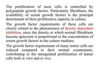 The proliferation of most cells is controlled by
polypeptide growth factors. Particularly fibroblasts, the
availability of serum growth factors is the principal
determinant of their proliferative capacity in culture.
The growth factor requirements of these cells are
closely related to the phenomenon of density dependent
inhibition, since the density at which normal fibroblasts
become quiescent is proportional to the concentration of
serum growth factors in the culture medium.
The growth factor requirements of many tumor cells are
reduced compared to their normal counterparts,
contributing to the unregulated proliferation of tumor
cells both in vitro and in vivo.
 