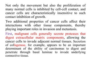 Not only the movement but also the proliferation of
many normal cells is inhibited by cell-cell contact, and
cancer cells are characteristically insensitive to such
contact inhibition of growth.
Two additional properties of cancer cells affect their
interactions with other tissue components, thereby
playing important roles in invasion and metastasis.
First, malignant cells generally secrete proteases that
digest extracellular matrix components, allowing the
cancer cells to invade adjacent normal tissues. Secretion
of collagenase, for example, appears to be an important
determinant of the ability of carcinomas to digest and
penetrate through basal laminae to invade underlying
connective tissue.
 