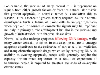 For example, the survival of many normal cells is dependent on
signals from either growth factors or from the extracellular matrix
that prevent apoptosis. In contrast, tumor cells are often able to
survive in the absence of growth factors required by their normal
counterparts. Such a failure of tumor cells to undergo apoptosis
when deprived of normal environmental signals may be important
not only in primary tumor development but also in the survival and
growth of metastatic cells in abnormal tissue sites.
Normal cells also undergo apoptosis following DNA damage, while
many cancer cells fail to do so. In this case, the failure to undergo
apoptosis contributes to the resistance of cancer cells to irradiation
and many chemotherapeutic drugs, which act by damaging DNA. In
addition to evading apoptosis, cancer cells generally acquire the
capacity for unlimited replication as a result of expression of
telomerase, which is required to maintain the ends of eukaryotic
chromosomes.
 