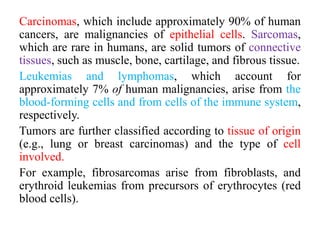 Carcinomas, which include approximately 90% of human
cancers, are malignancies of epithelial cells. Sarcomas,
which are rare in humans, are solid tumors of connective
tissues, such as muscle, bone, cartilage, and fibrous tissue.
Leukemias and lymphomas, which account for
approximately 7% of human malignancies, arise from the
blood-forming cells and from cells of the immune system,
respectively.
Tumors are further classified according to tissue of origin
(e.g., lung or breast carcinomas) and the type of cell
involved.
For example, fibrosarcomas arise from fibroblasts, and
erythroid leukemias from precursors of erythrocytes (red
blood cells).
 