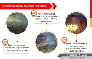 https://unperiodico.unal.edu.co/pages/detail/las-quemas-reiteradas-reducen-carbono-del-suelo-en-la-orinoquia/
https://www.panamaamerica.com.pa/provincias/continuan-quemas-indiscriminadas-de-herbazales-en-veraguas-1023268
Avise a las autoridades si
observa personas
sospechosas que puedan
causar incendios.
Evite realizar quemas
controladas, especialmente
en temporada de sequía.
En los cultivos, deje
espacio entre las parcelas
para que sirva de barrera
cortafuegos.
CÓMO PREVENIR LOS INCENDIOS FORESTALES
 