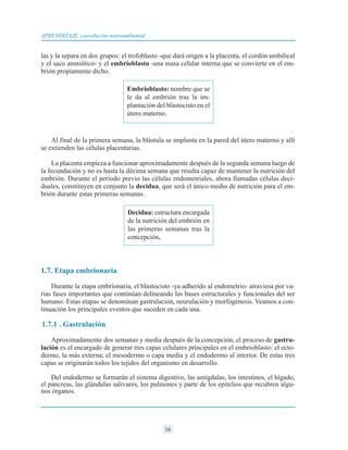 las y la separa en dos grupos: el trofoblasto -que dará origen a la placenta, el cordón umbilical
y el saco amniótico- y el embrioblasto -una masa celular interna que se convierte en el em-
brión propiamente dicho.
Al final de la primera semana, la blástula se implanta en la pared del útero materno y allí
se extienden las células placentarias.
La placenta empieza a funcionar aproximadamente después de la segunda semana luego de
la fecundación y no es hasta la décima semana que resulta capaz de mantener la nutrición del
embrión. Durante el período previo las células endometriales, ahora llamadas células deci-
duales, constituyen en conjunto la decidua, que será el único medio de nutrición para el em-
brión durante estas primeras semanas.
1.7. Etapa embrionaria
Durante la etapa embrionaria, el blastocisto -ya adherido al endometrio- atraviesa por va-
rias fases importantes que continúan delineando las bases estructurales y funcionales del ser
humano. Estas etapas se denominan gastrulación, neurulación y morfogénesis. Veamos a con-
tinuación los principales eventos que suceden en cada una.
1.7.1 . Gastrulación
Aproximadamente dos semanas y media después de la concepción, el proceso de gastru-
lación es el encargado de generar tres capas celulares principales en el embrioblasto: el ecto-
dermo, la más externa; el mesodermo o capa media y el endodermo al interior. De estas tres
capas se originarán todos los tejidos del organismo en desarrollo.
Del endodermo se formarán el sistema digestivo, las amígdalas, los intestinos, el hígado,
el páncreas, las glándulas salivares, los pulmones y parte de los epitelios que recubren algu-
nos órganos.
16
APRENDIZAJE, coevolución neuroambiental
Embrioblasto: nombre que se
le da al embrión tras la im-
plantación del blastocisto en el
útero materno.
Decidua: estructura encargada
de la nutrición del embrión en
las primeras semanas tras la
concepción.
 