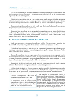 Así, la coevolución es un rasgo de carácter determinante en los procesos generales de des-
arrollo de todos los seres humanos, y aunque particular, indisoluble de las leyes naturales que
rigen la evolución de las especies.
Mediante la coevolución, gracias a las características que la naturaleza ha ido delineando
internamente en nosotros, y a las vivencias que vamos experimentando, poseemos el potencial
de modificarnos y de modificar al entorno. Este es un proceso básico para el aprendizaje.
En este punto, podemos afirmar no sólo que la coevolución es fundamental para el apren-
dizaje, sino que, en sí misma, es aprendizaje.
En este primer capítulo, el lector accederá a información acerca del desarrollo inicial del
ser humano, abordaremos procesos que, salvo excepciones, son compartidos por todas las per-
sonas y que deben de tenerse claros, indistintamente de hacia cuál sujeto o población se dirige
nuestra inquietud en relación con el aprendizaje.
1.1. La célula, unidad fundamental de la materia viva
Cada uno de nosotros estamos conformados por células. Éstas constituyen la unidad fun-
damental de la materia viva y de hecho, iniciamos nuestra vida como una de ellas.
Todas las células animales, como parte de su estructura básica cuentan con dos comparti-
mentos, el núcleo en el interior, y una materia gelatinosa que lo rodea, el citoplasma. Ambos
están contenidos en una membrana.
La membrana celular tiene un papel de gran importancia pues es la que separa el interior
de la célula del entorno que la rodea. Además, es la que permite la interacción de la célula con
el medio, facilitando, regulando e incluso limitando su intercambio con el ambiente. La mem-
brana es la interfase interactiva entre la célula y su entorno.
Es en estos niveles microscópicos donde podemos empezar a distinguir que la coevolu-
ción con el ambiente es un rasgo característico de nuestro organismo.
Al interior de la célula, en el soma o cuerpo celular, es posible distinguir estructuras im-
portantes: entre la membrana y el núcleo se ubica el citoplasma, compuesto por varias orga-
nelas dentro de las que destacan el Aparato de Golgi, las mitocondrias y los ribosomas.
En el núcleo de todas nuestras células, se
encuentran los cromosomas, que contienen los
genes, y en ellos, se encuentra el material here-
ditario o ADN (ácido desoxirribonucleico)
que es transmitido por los progenitores en el
momento de la concepción y provee, tanto las
instrucciones que determinan nuestra identidad
como especie humana, como la línea base de
los procesos de desarrollo y maduración.
APRENDIZAJE, coevolución neuroambiental
El núcleo celular posee el ADN, que es el
almacén genético de los seres vivos.
En una persona, todas las células poseen
una estructura idéntica de ADN, indepen-
dientemente de las características y fun-
ciones de cada una de estas células.
6
 