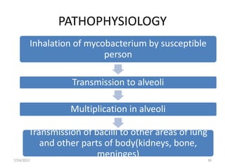 PATHOPHYSIOLOGY
Inhalation of mycobacterium by susceptible
person
Transmission to alveoli
Multiplication in alveoli
Transmission of bacilli to other areas of lung
and other parts of body(kidneys, bone,
meninges) 30
7/24/2022
 