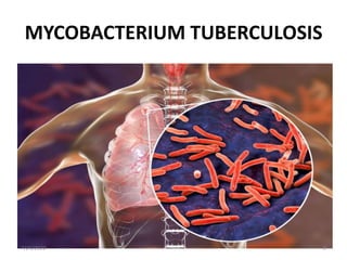 MYCOBACTERIUM TUBERCULOSIS
7/24/2022 8
 