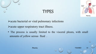 TYPES
acute bacterial or viral pulmonary infections
acute upper respiratory tract illness.
• The process is usually limited to the visceral pleura, with small
amounts of yellow serous fluid .
7/24/2022
Pleurisy 13
 