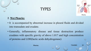 TYPES
2. Wet Pleurisy
• It is accompanied by abnormal increase in pleural fluids and divided
into transudate and exudate.
• Generally, inflammatory disease and tissue destruction produce
exudates with specific gravity of above 1.017 and high concentration
of proteins and LDH(lactic acids dehydrogenase)
7/24/2022
Pleurisy 15
 