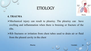 ETIOLOGY
4. TRAUMA
Mechanical injury can result to pleurisy. The pleurisy can have
swelling and inflammation when there is bruising or fracture of the
ribs.
Rib fractures or irritation from chest tubes used to drain air or fluid
from the pleural cavity in the chest
7/24/2022
Pleurisy 23
 
