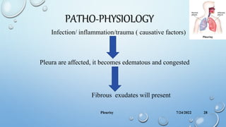 PATHO-PHYSIOLOGY
Infection/ inflammation/trauma ( causative factors)
Pleura are affected, it becomes edematous and congested
Fibrous exudates will present
7/24/2022
Pleurisy 28
 