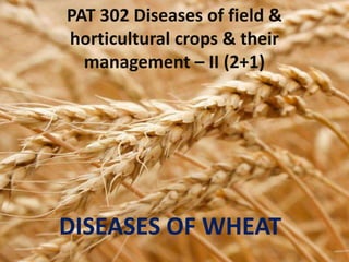 PAT 302 Diseases of field &
horticultural crops & their
management – II (2+1)
DISEASES OF WHEAT
 