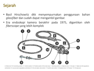 Endoscopy.pptx