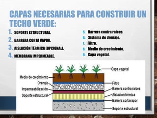 CAPAS NECESARIAS PARA CONSTRUIR UN
TECHO VERDE:
1. SOPORTE ESTRUCTURAL.
2. BARRERA CORTA VAPOR.
3. AISLACIÓN TÉRMICA (OPCIONAL).
4. MEMBRANA IMPERMEABLE.
5. Barrera contra raíces
6. Sistema de drenaje.
7. Filtro.
8. Medio de crecimiento.
9. Capa vegetal.
 