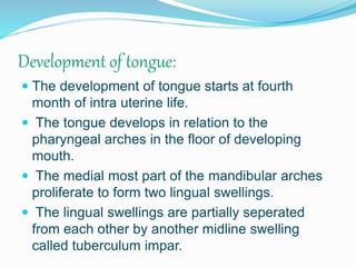 Development of tongue:
 The development of tongue starts at fourth
month of intra uterine life.
 The tongue develops in relation to the
pharyngeal arches in the floor of developing
mouth.
 The medial most part of the mandibular arches
proliferate to form two lingual swellings.
 The lingual swellings are partially seperated
from each other by another midline swelling
called tuberculum impar.
 