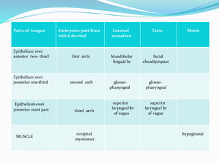 Parts of tongue Embryonic part from
which derived
General
sensation
Taste Motor
Epithelium over
anterior two- third first arch Mandibular
lingual br
facial
chordtympani
Epithelium over
posterior one third second arch glosso-
pharyngeal
glosso-
pharyngeal
Epithelium over
posterior most part third arch
superior
laryngeal br
of vagus
superior
laryngeal br
of vagus
MUSCLE
occipital
myotomes
hypoglossal
 