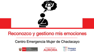 Reconozco y gestiono mis emociones
Centro Emergencia Mujer de Chaclacayo
 