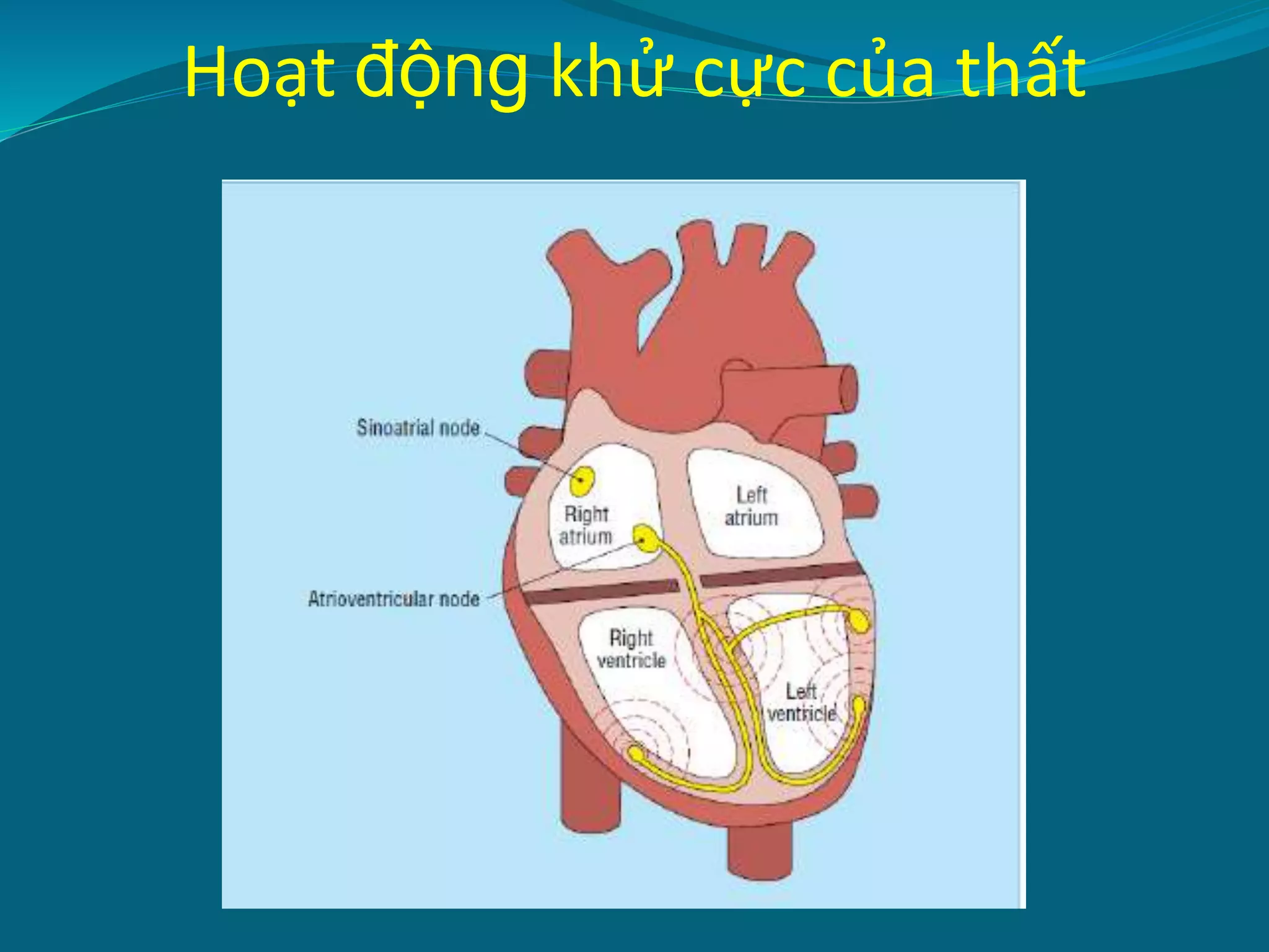 1. Tiếp cận ECG.pptx