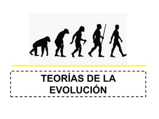 TEORÍAS DE LA
EVOLUCIÓN
 