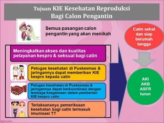 1. CATIN PKM MERAKURAK 2022.pptx