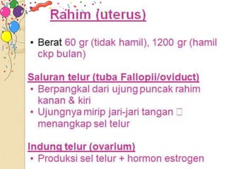 1. CATIN PKM MERAKURAK 2022.pptx