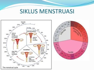 SIKLUS MENSTRUASI
 