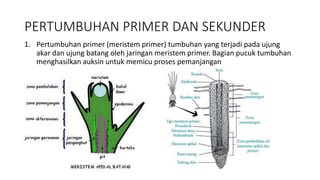 1. Pertumbuhan dan perkembahan bab 1 kelas 12.pptx