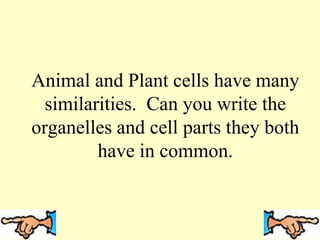 Animal and Plant cells have many
similarities. Can you write the
organelles and cell parts they both
have in common.
 