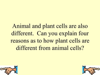 Animal and plant cells are also
different. Can you explain four
reasons as to how plant cells are
different from animal cells?
 