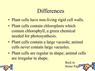 Differences
• Plant cells have non-living rigid cell walls.
• Plant cells contain chloroplasts which
contain chlorophyll, a green chemical
needed for photosynthesis.
• Plant cells contain a large vacuole; animal
cells never contain large vacuoles.
• Plant cells are regular in shape; animal cells
are irregular in shape.
Back to
Home Page
 