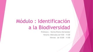 Módulo : Identificación
a la Biodiversidad
Profesora : Norma Rivera Hernández
Horario: Miércoles de 9:00 – 11:00
Viernes de 10:00 – 11:00
 