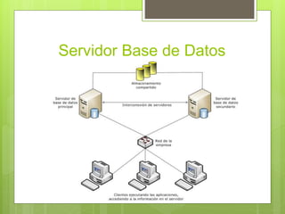 Servidor Base de Datos
 