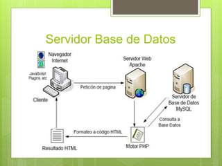 Servidor Base de Datos
 