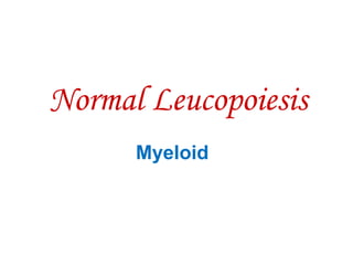 Normal Leucopoiesis
Myeloid
 