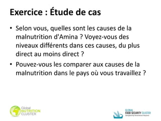 Exercice : Étude de cas
• Selon vous, quelles sont les causes de la
malnutrition d'Amina ? Voyez-vous des
niveaux différents dans ces causes, du plus
direct au moins direct ?
• Pouvez-vous les comparer aux causes de la
malnutrition dans le pays où vous travaillez ?
 