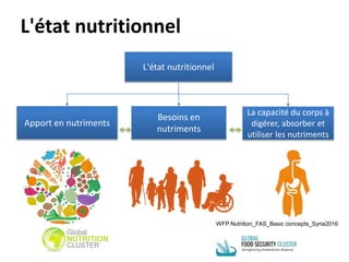 L'état nutritionnel
L'état nutritionnel
Apport en nutriments
Besoins en
nutriments
La capacité du corps à
digérer, absorber et
utiliser les nutriments
WFP Nutrition_FAS_Basic concepts_Syria2016
 