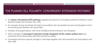 Plannar Recesson Examples 1. 1Introduction to Molecular regulation and signaling.pptx