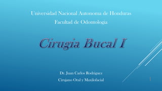 Universidad Nacional Autonoma de Honduras
Facultad de Odontologia
Dr. Juan Carlos Rodriguez
Cirujano Oral y Maxilofacial 1
 