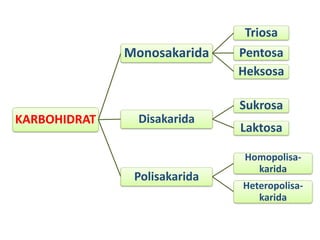 KARBOHIDRAT
Monosakarida
Triosa
Pentosa
Heksosa
Disakarida
Sukrosa
Laktosa
Polisakarida
Homopolisa-
karida
Heteropolisa-
karida
 